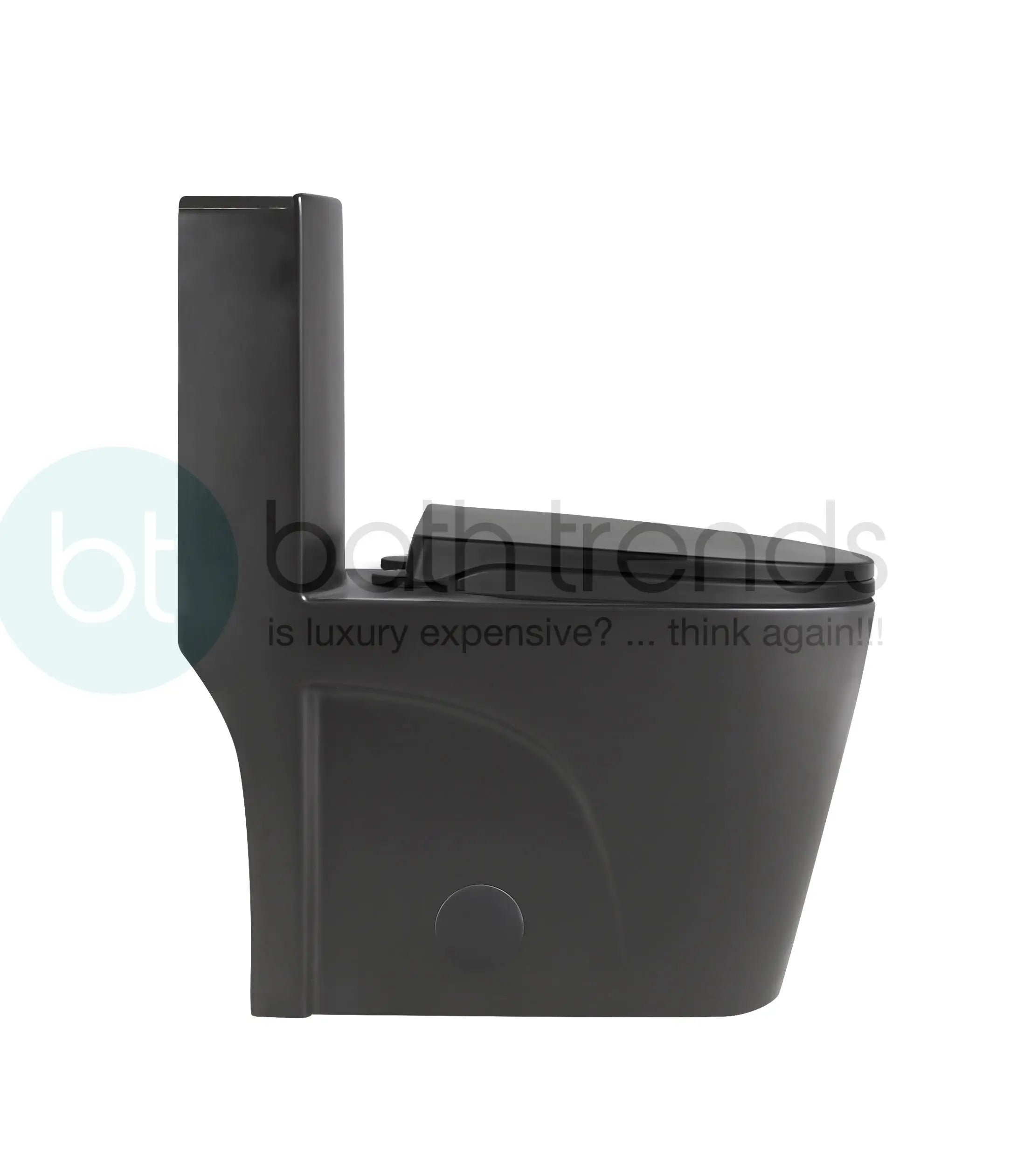 Aquamoon TB 382 Elongated One Piece Dual Flush Toilet With Soft Closing Seat Matte Black
