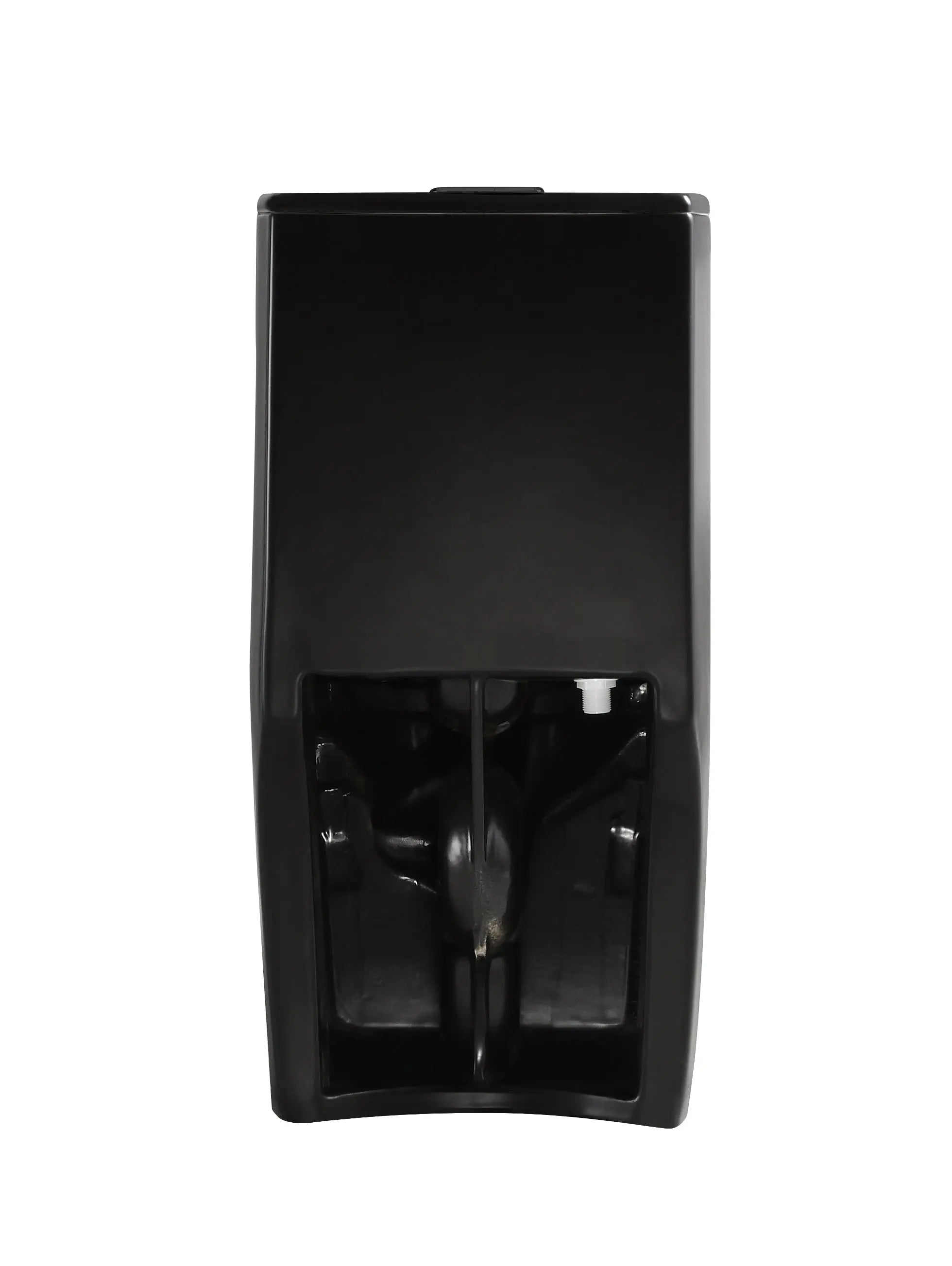 Aquamoon TB 382 Elongated One Piece Dual Flush Toilet With Soft Closing Seat Matte Black