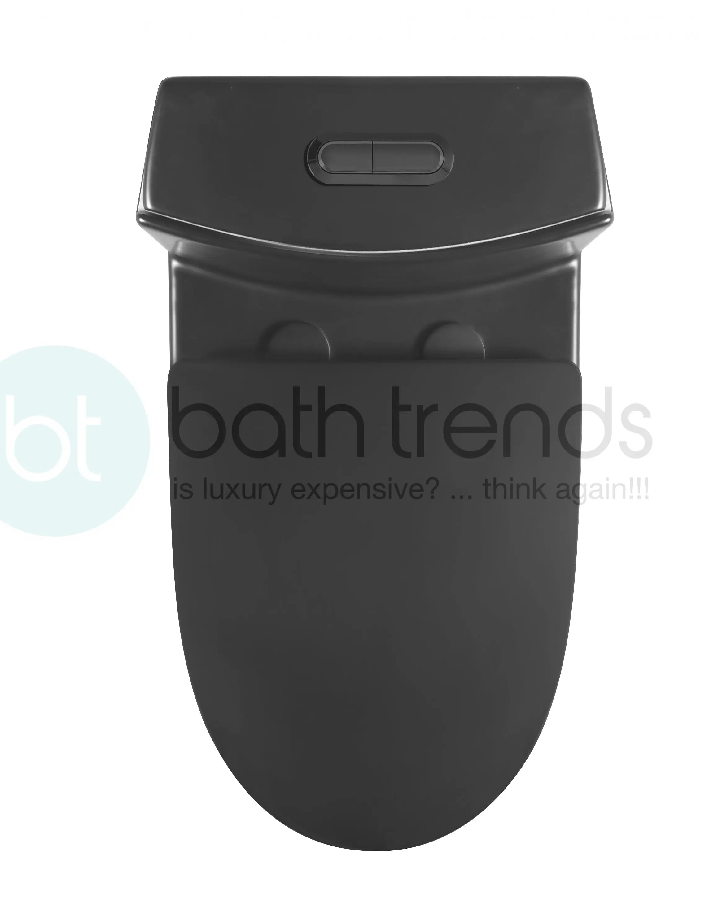 Aquamoon TB 382 Elongated One Piece Dual Flush Toilet With Soft Closing Seat Matte Black