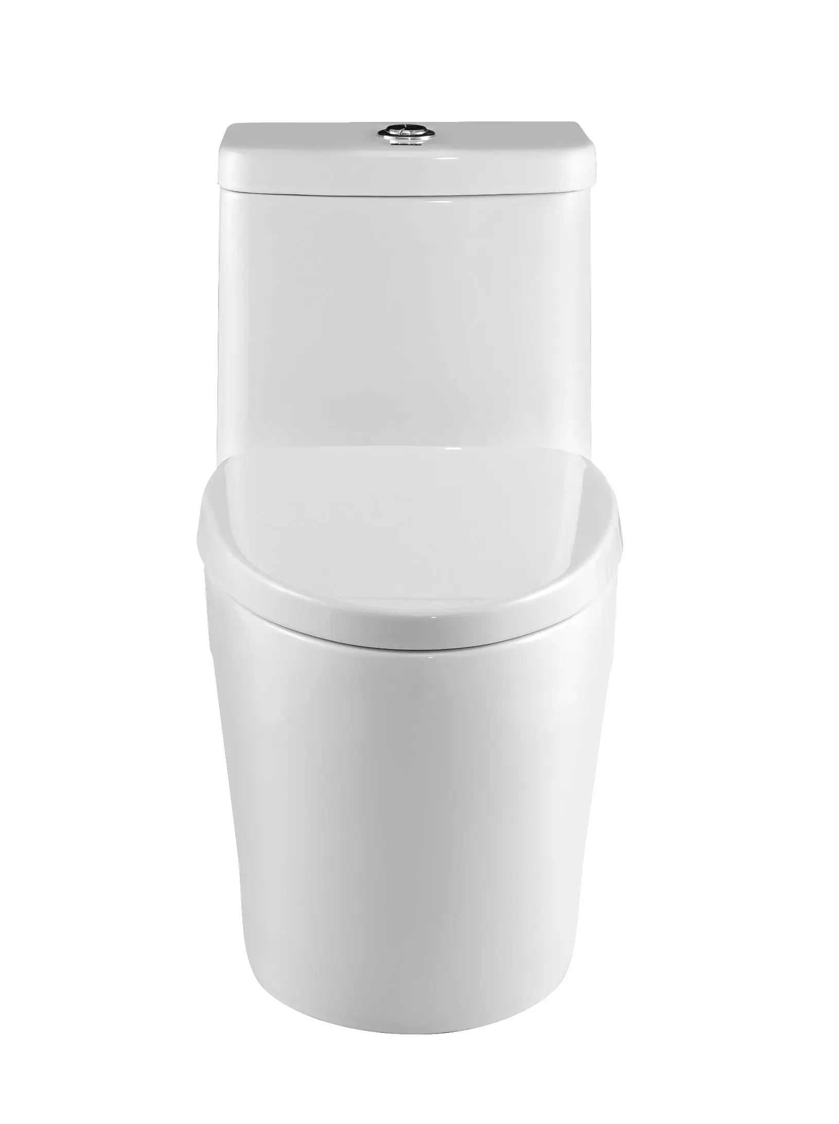 Aquamoon TB 328 Elongated One Piece Dual Flush Toilet With Soft Closing Seat