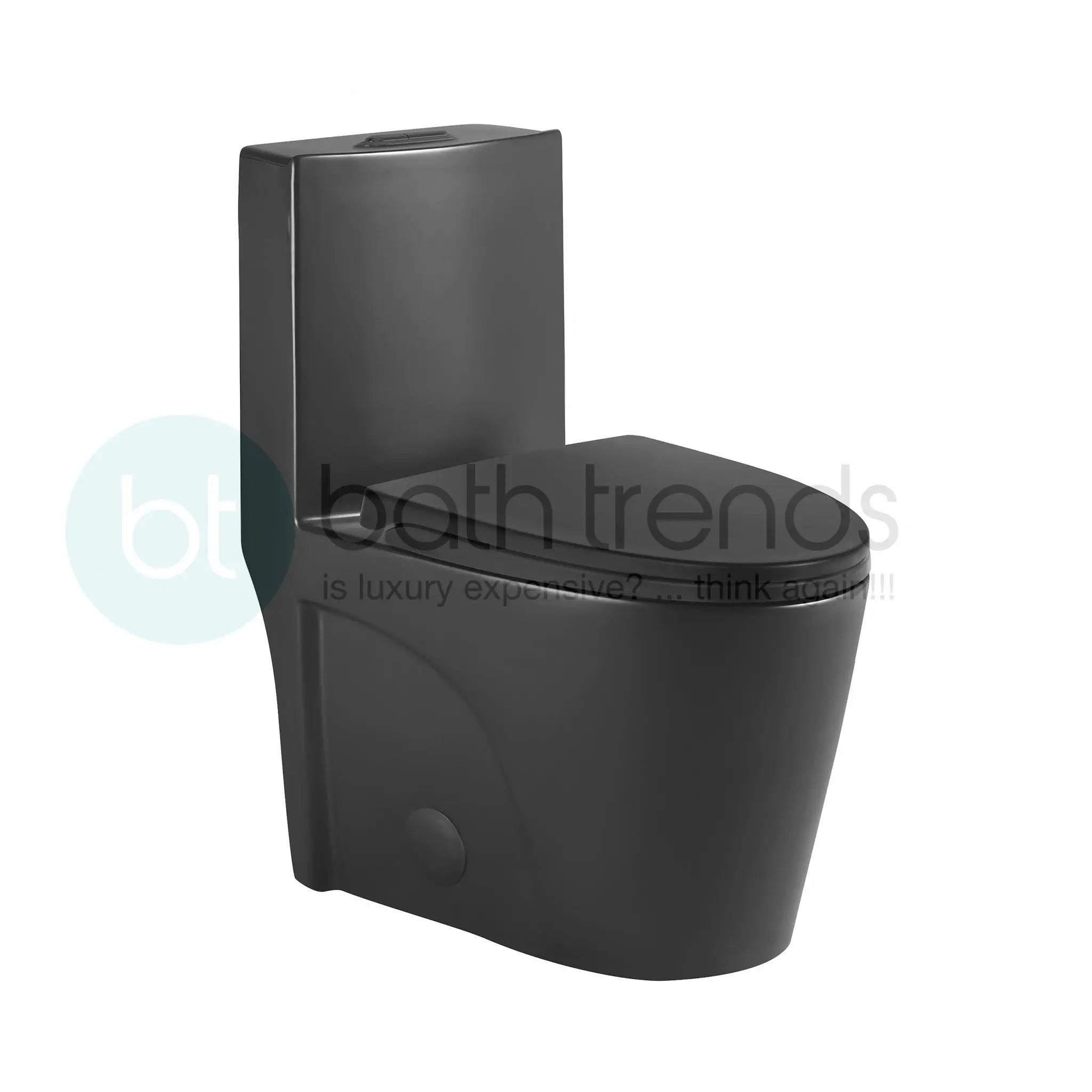 Aquamoon TB 382 Elongated One Piece Dual Flush Toilet With Soft Closing Seat Matte Black