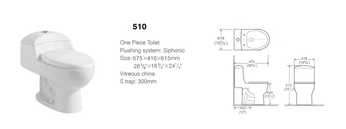 Aquamoon TB 510 Elongated One Piece Dual Flush Toilet With Soft Closing Seat