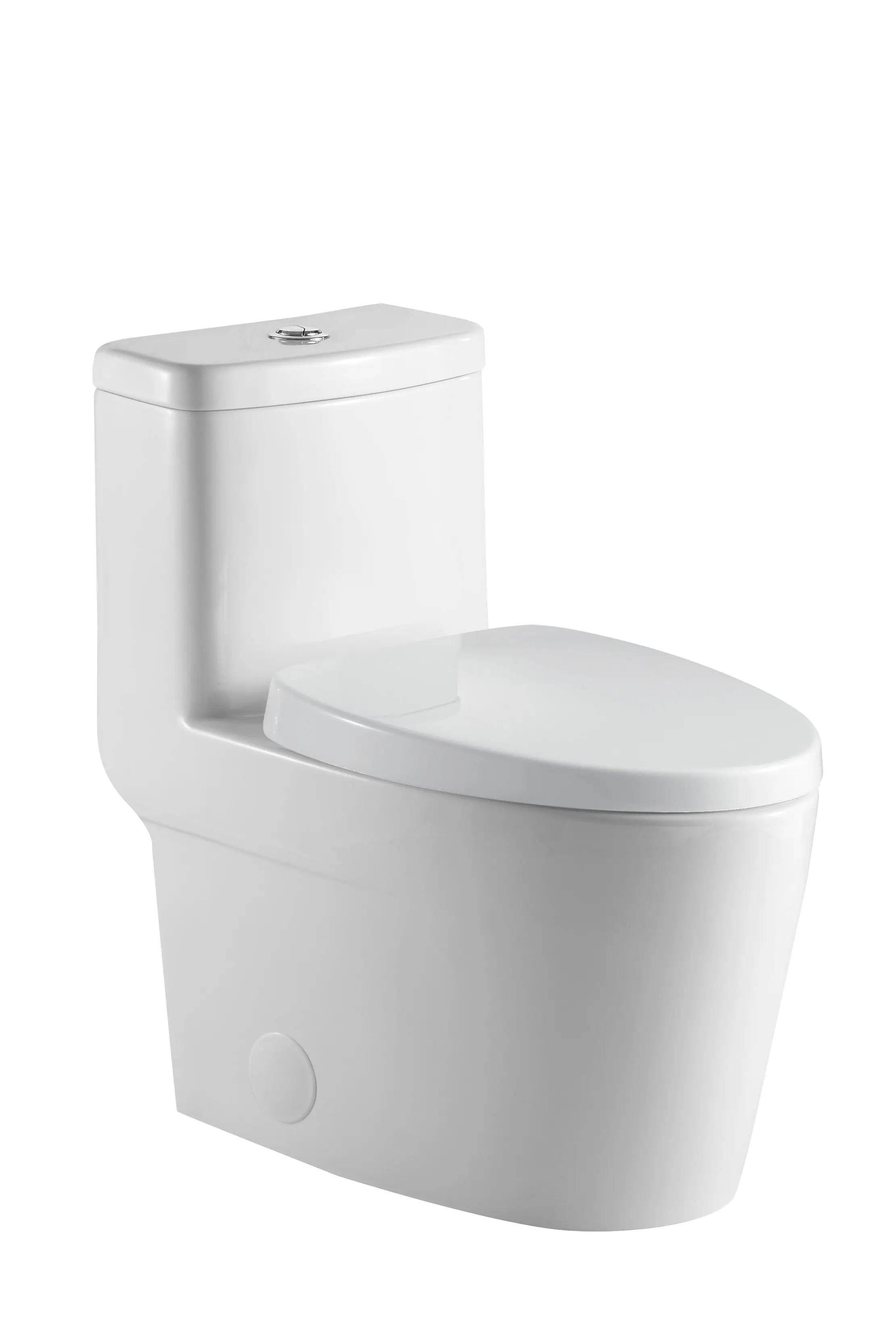 Aquamoon TB 328 Elongated One Piece Dual Flush Toilet With Soft Closing Seat 