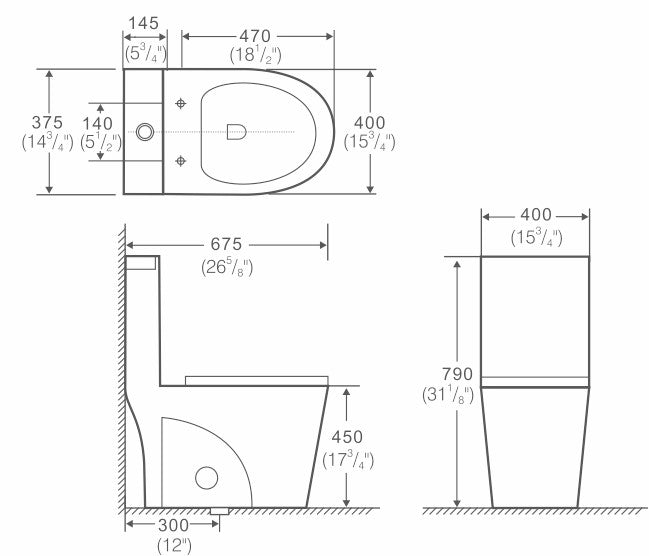 Aquamoon TB 382 Elongated One Piece Dual Flush Toilet With Soft Closing Seat Matte Black 