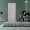 Contemporary NATURE ASH GREY Interior Door Slab  Solid Core Stripes Modern Door,  AshOak Pack 28 x 80 x 1 9/16)