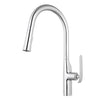 Aquamoon Dylan Single-Handle Kitchen Sink Faucet With Pull Down Sprayer, Brushed Nickel Finish