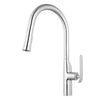 Aquamoon Dylan Single-Handle Kitchen Sink Faucet With Pull Down Sprayer, Chrome Finish