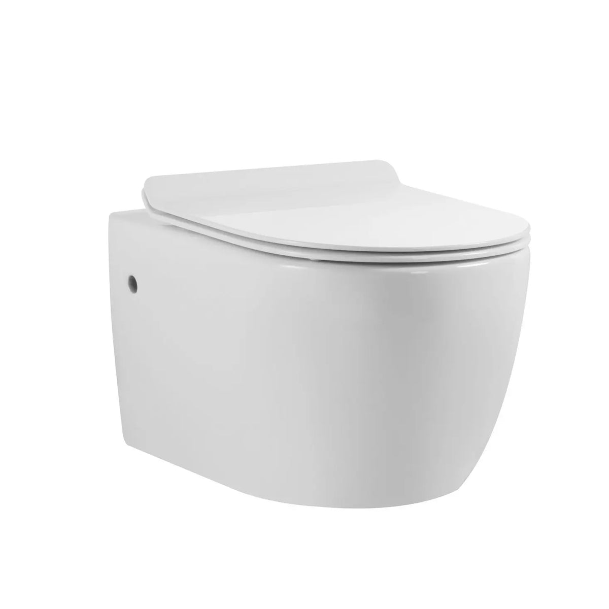 Aquamoon 707 Round Wall-Hung Dual Flush Elongated One Piece Toilet