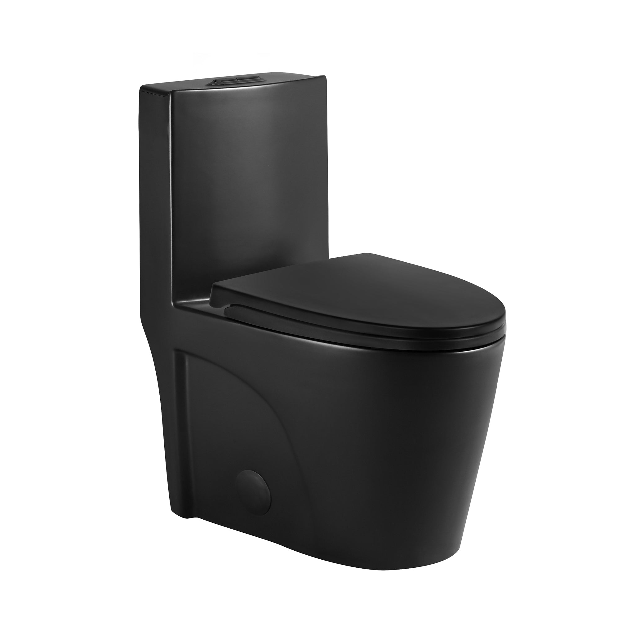 Aquamoon TB 382 Elongated One Piece Dual Flush Toilet With Soft Closing Seat Matte Black