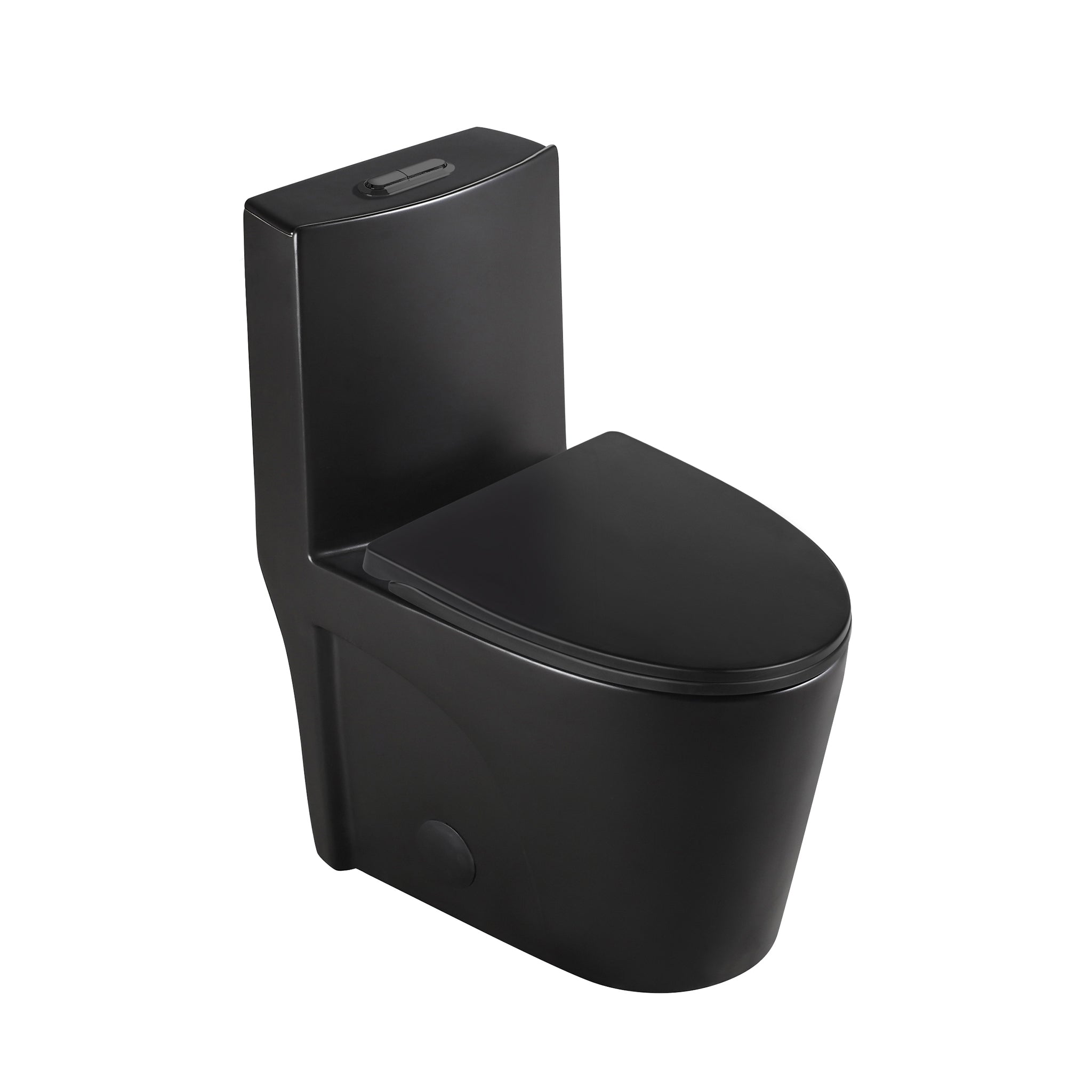 Aquamoon TB 382 Elongated One Piece Dual Flush Toilet With Soft Closing Seat Matte Black